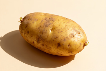 新鲜带泥发芽的黄皮土豆2