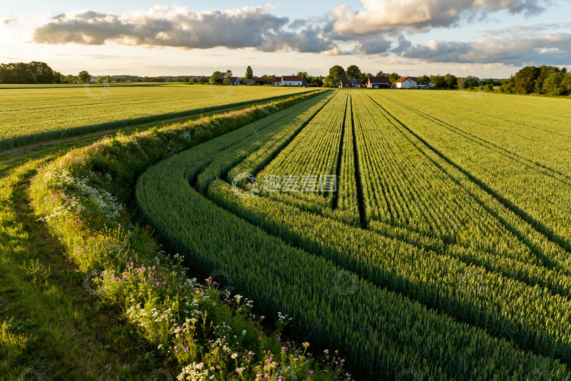 高清大图下载【趣麦麦图】田园麦田风光美丽景致