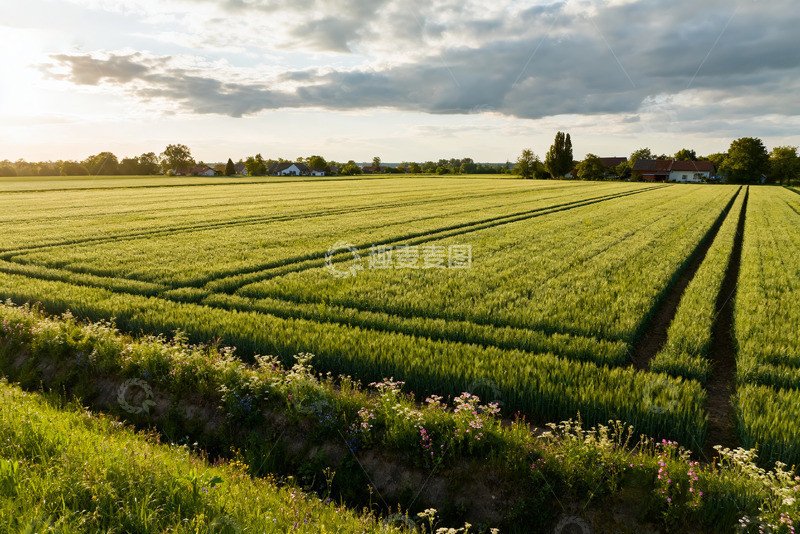 高清大图下载【趣麦麦图】田园麦田日落美景2