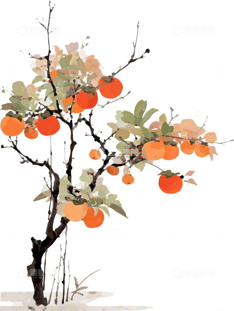 高清大图下载【趣麦麦图】柿子  橙红  秋实