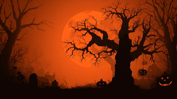 南瓜灯照亮的诡异树林