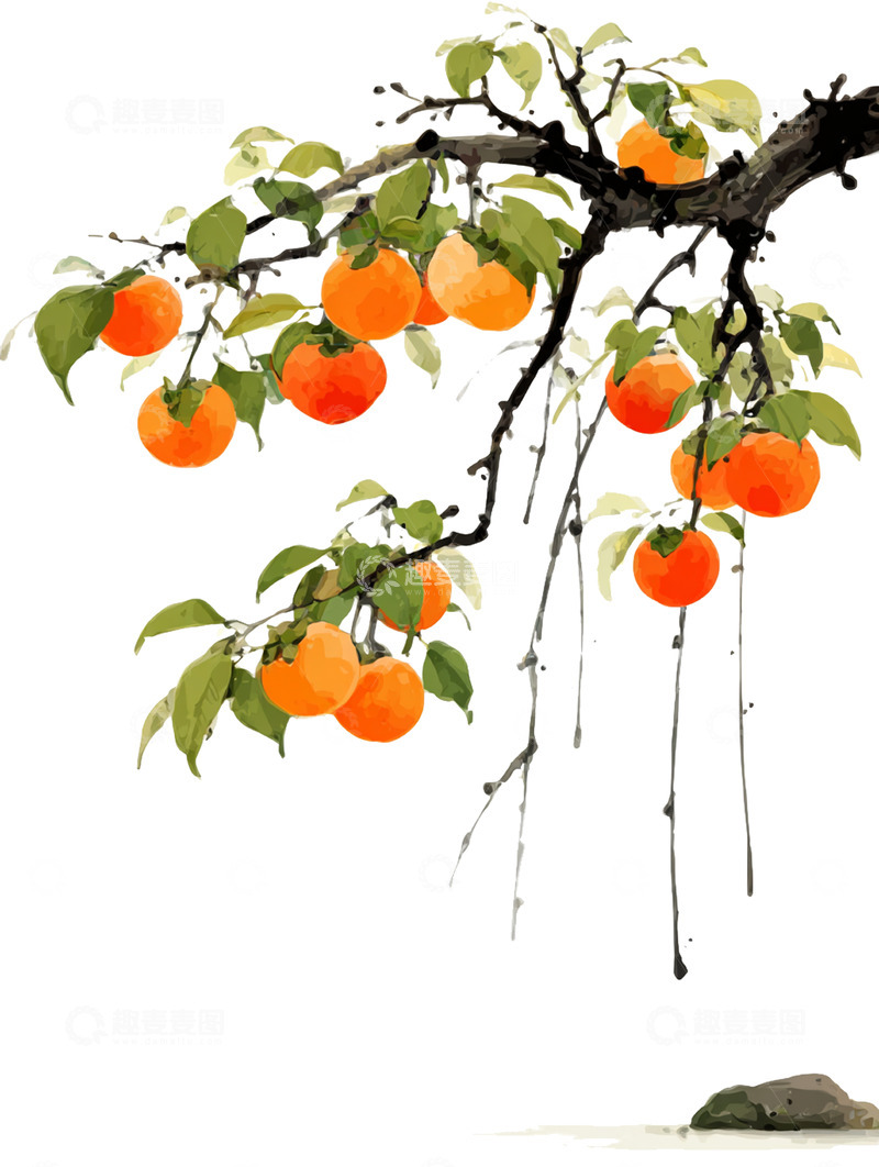高清大图下载【趣麦麦图】柿子  秋韵  如意