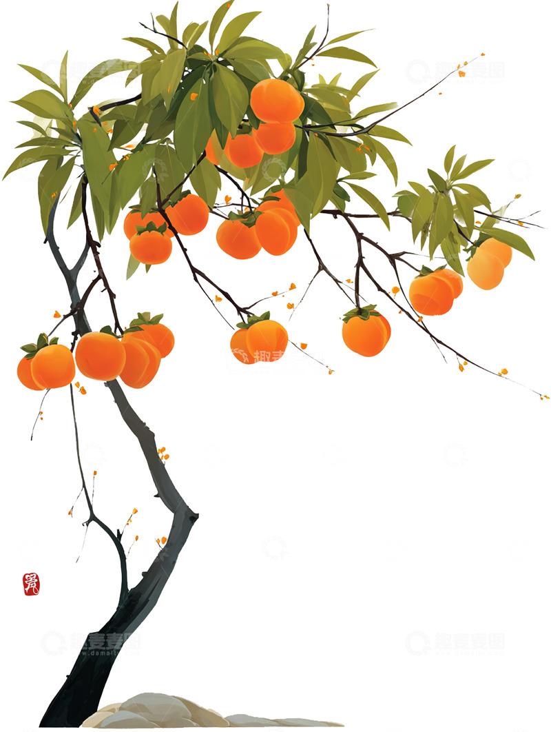 高清大图下载【趣麦麦图】柿子  秋韵  甘饴 