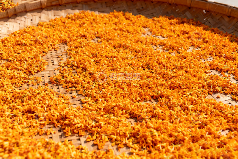 高清大图下载【趣麦麦图】竹筐上晾晒的金黄桂花5