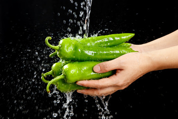 双手清洗鲜嫩青辣椒1