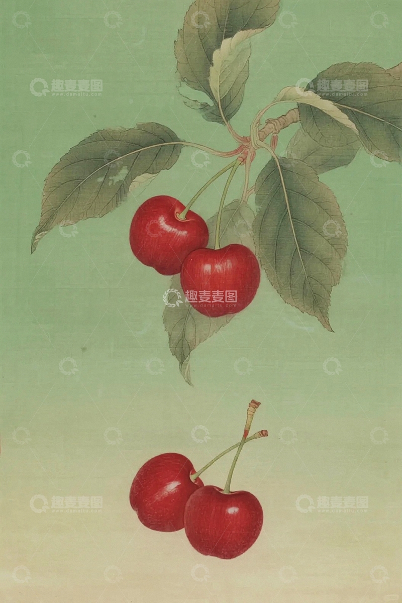 高清大图下载【趣麦麦图】工笔画水果樱桃插画8