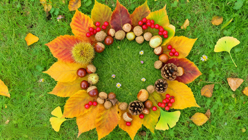 秋天落叶果实创意童趣背景