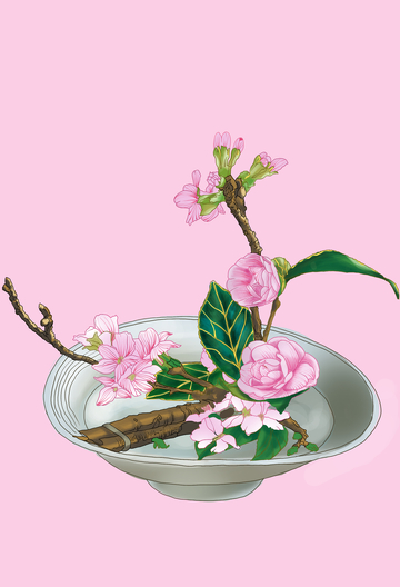 山茶花花卉盆栽绿叶绿植