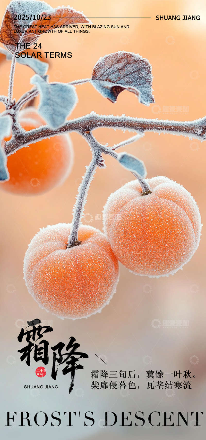 寒露24节气简约节气海报