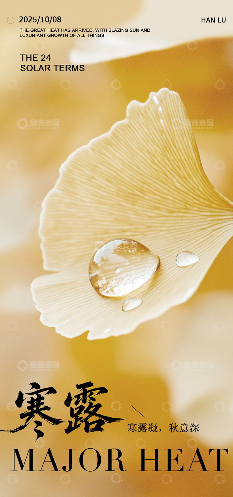 寒露24节气简约节气海报