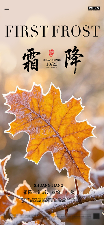 霜降节气枫叶雪景图片