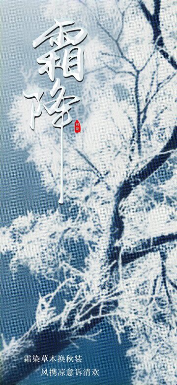 霜降节气海报4
