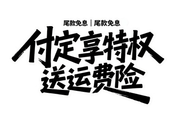付定享特权送运费险艺术字