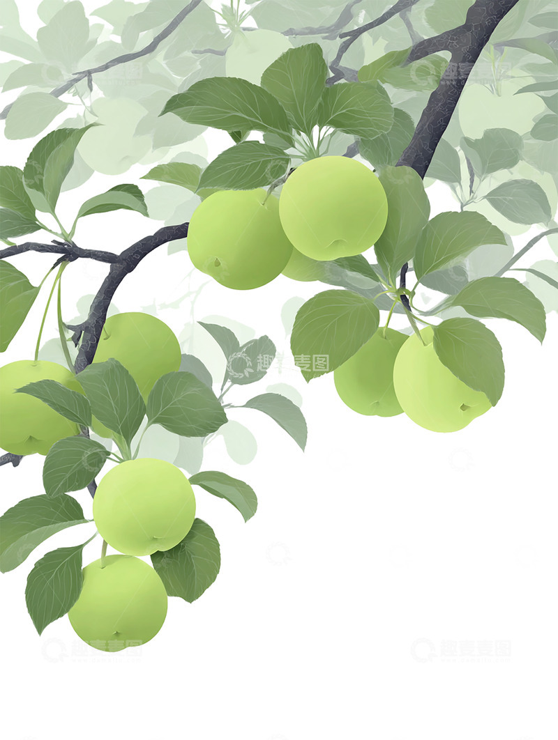 高清大图下载【趣麦麦图】苹果  浑圆  平安 