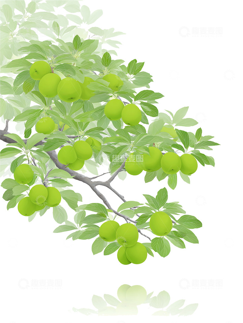 高清大图下载【趣麦麦图】苹果  浑圆  芳醇 