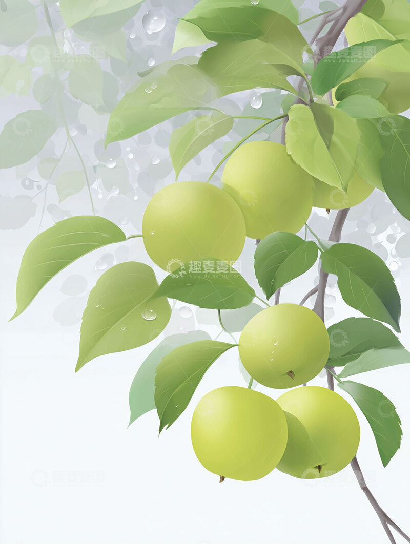 高清大图下载【趣麦麦图】苹果  浑圆  鲜灵  