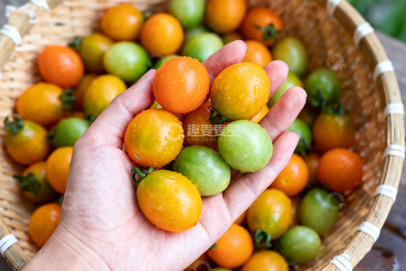 高清大图下载【趣麦麦图】手捧竹篮中小番茄
