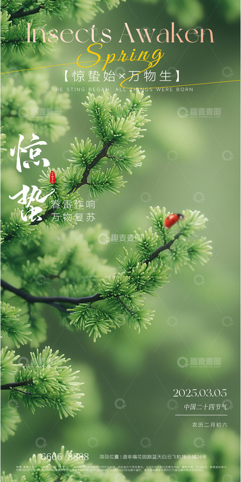 惊蛰节气摄影海报