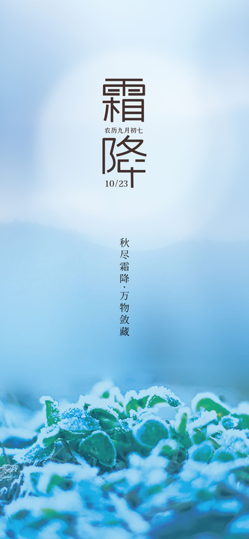 霜降节气海报10
