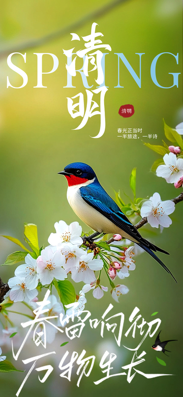 春日清明花鸟图海报设计素材