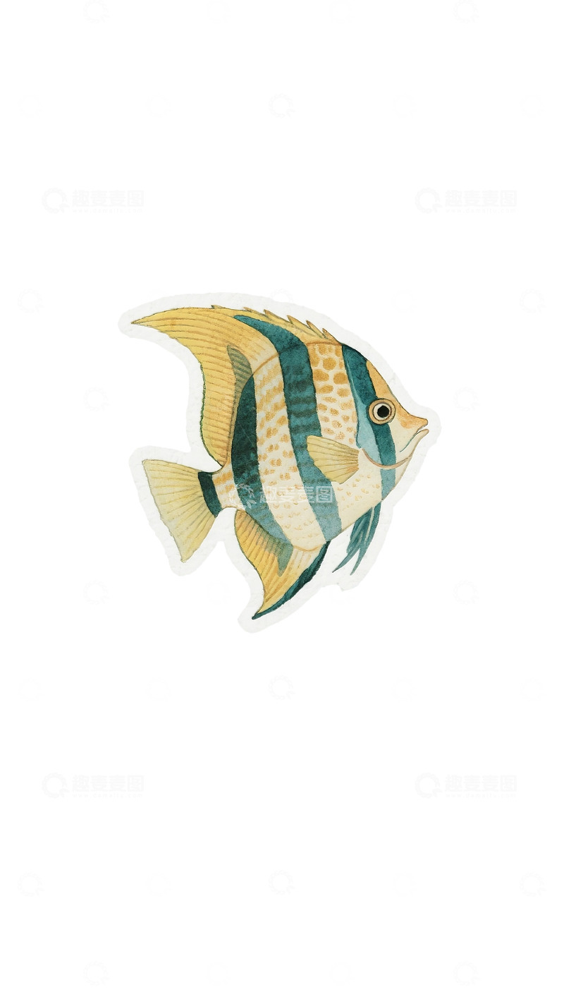 高清大图下载【趣麦麦图】水彩条纹热带鱼插画图