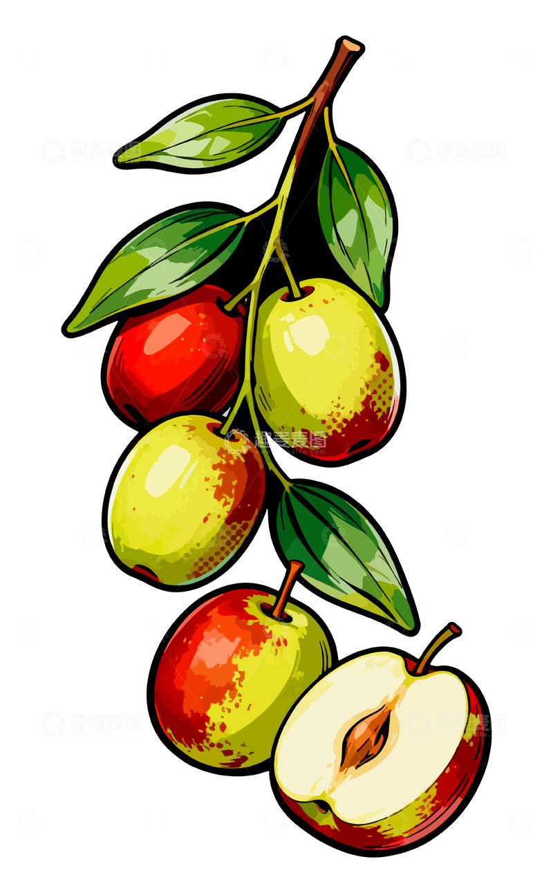 源文件下载【趣麦麦图】彩绘冬枣插画设计素材
