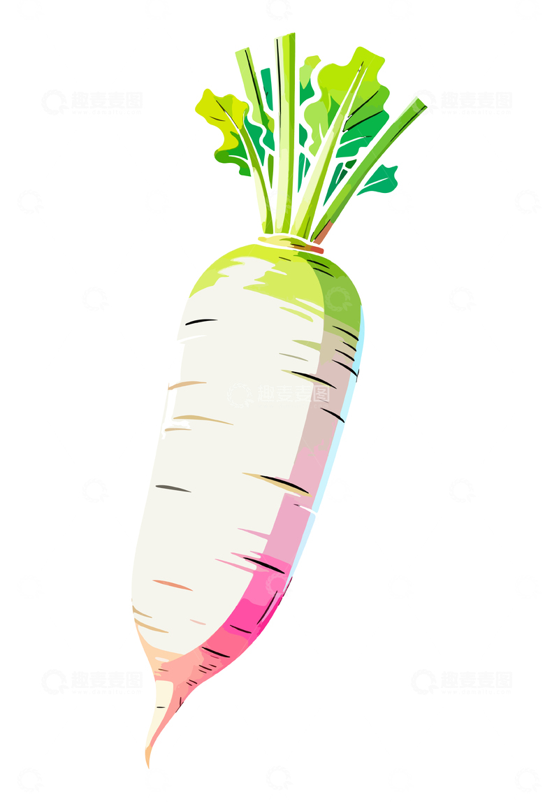 源文件下载【趣麦麦图】彩绘白萝卜插图设计元素