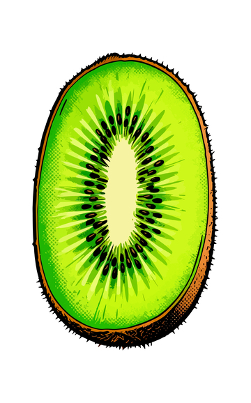 卡通风格猕猴桃插图