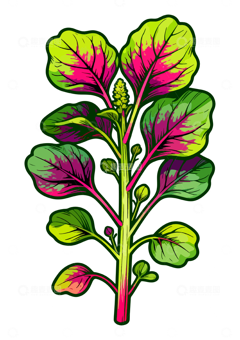 源文件下载【趣麦麦图】彩绘植物插图