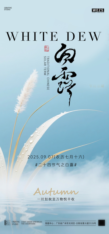 白露简约节气海报