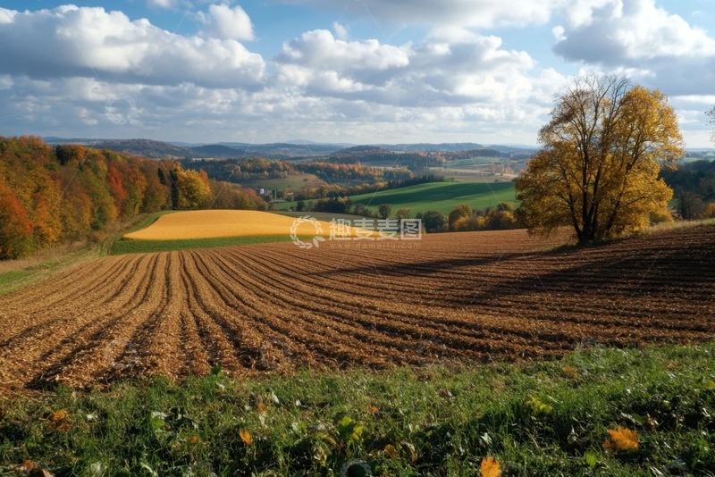 高清大图下载【趣麦麦图】农田自然美景