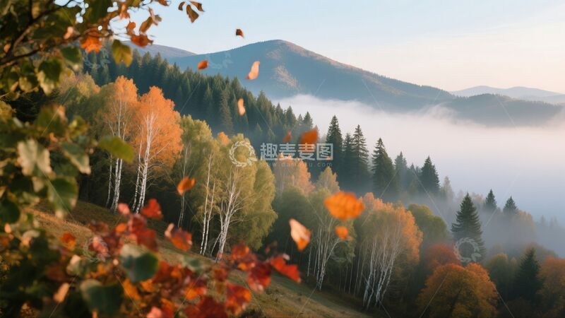 高清大图下载【趣麦麦图】写实风秋季森林落叶飘落场景商业照片