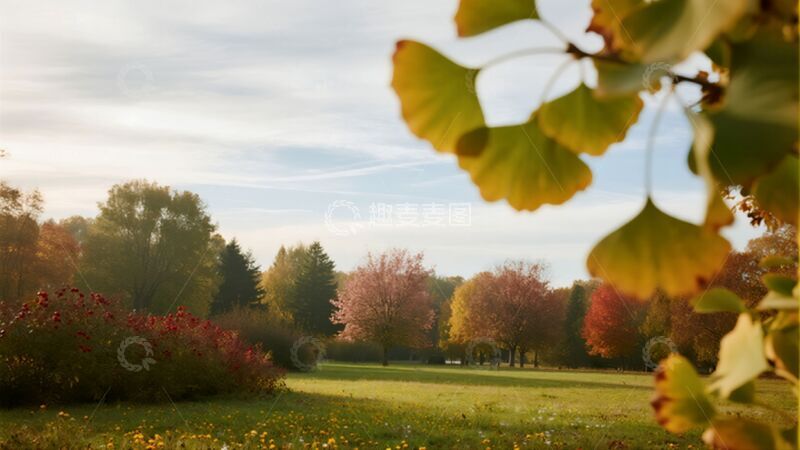 高清大图下载【趣麦麦图】自然风景公园树木商业照片