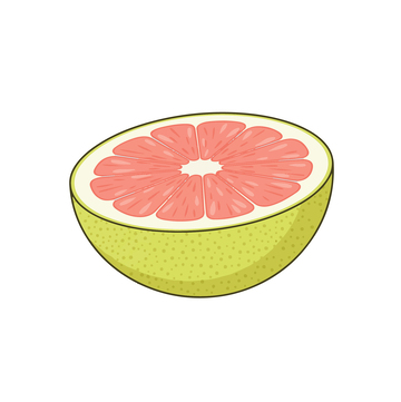 插画卡通柚子99