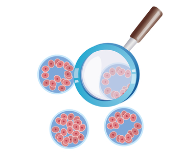 显微镜下的卵子细胞观察图示医用插画