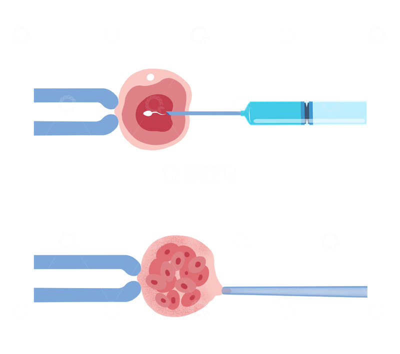 源文件下载【趣麦麦图】-细胞实验与染色体观察医用插画