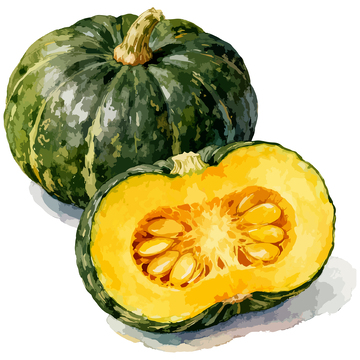 水彩风格贝贝南瓜插画