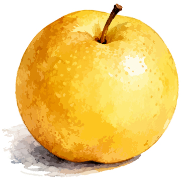 水彩风秋月梨插画素材