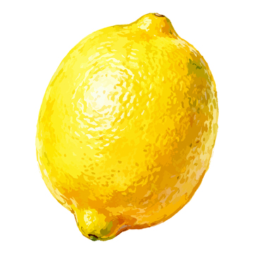 手绘柠檬插画设计素材