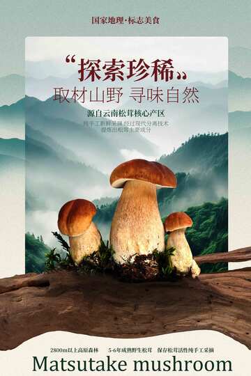 松茸菌食材美食海报