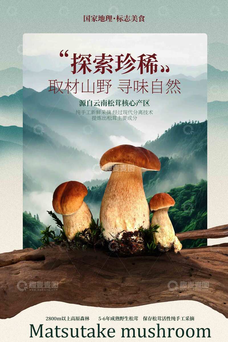 源文件下载【趣麦麦图】-松茸菌食材美食海报