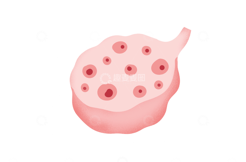 源文件下载【趣麦麦图】-手绘卡通未成形卵子切片图