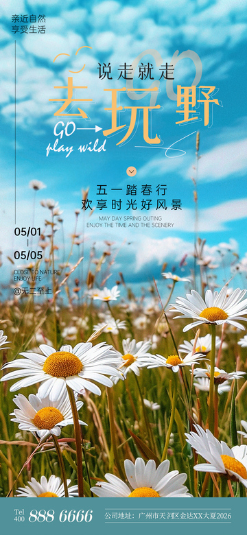 野花蓝天宣传海报