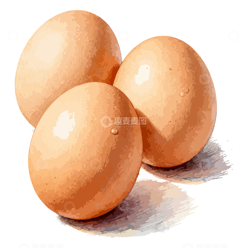 源文件下载【趣麦麦图】水彩鸡蛋插画设计素材