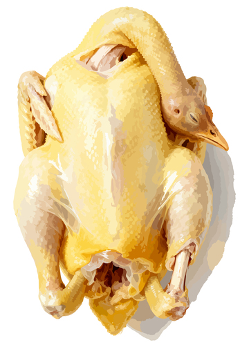 水彩手绘插画广东白切鸡