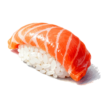 寿司手绘美食插画