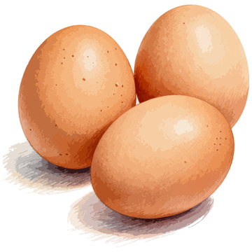 手绘鸡蛋插画设计素材