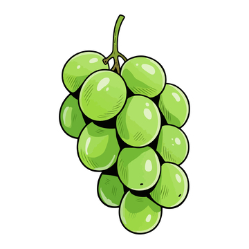 简约风格绿色葡萄插图