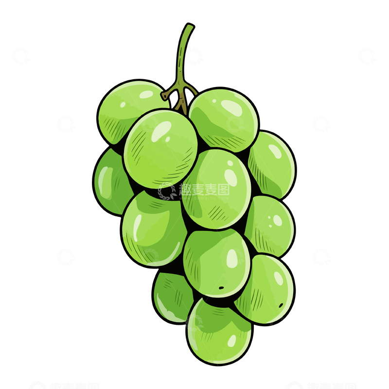 简约风格绿色葡萄插图