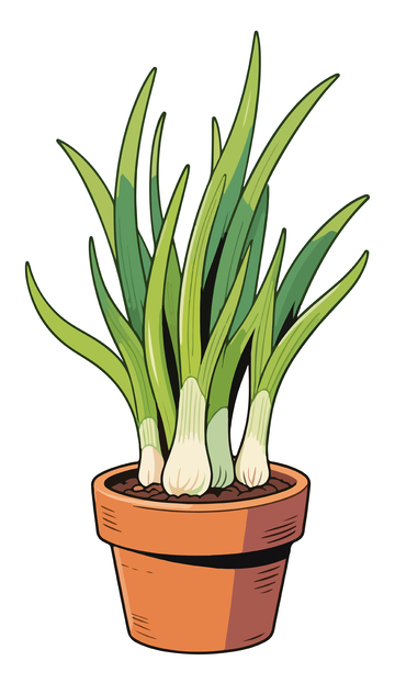 卡通植物盆栽插画